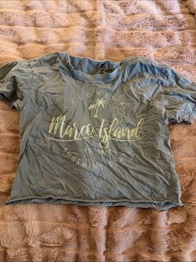 Marco Island Graphic Crop Top in Grey
